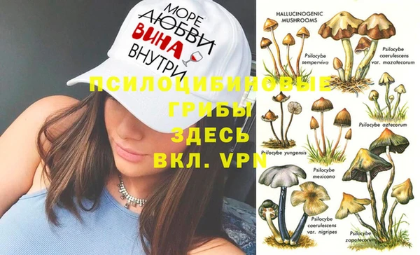 стафф Белокуриха