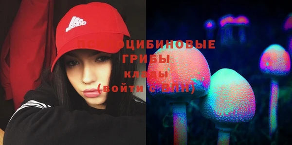 кокс Беломорск