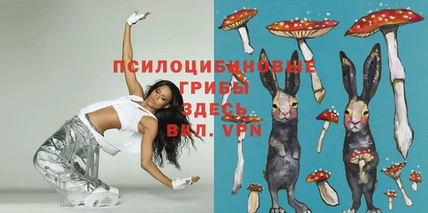 таблы Белоозёрский